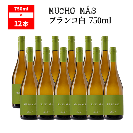 フェリックス ソリス アヴァンティス ムーチョ マス ブランコ NV 白ワイン スペイン / Felix Solis Mucho Mas Blanco 750mlx12本 12.5%