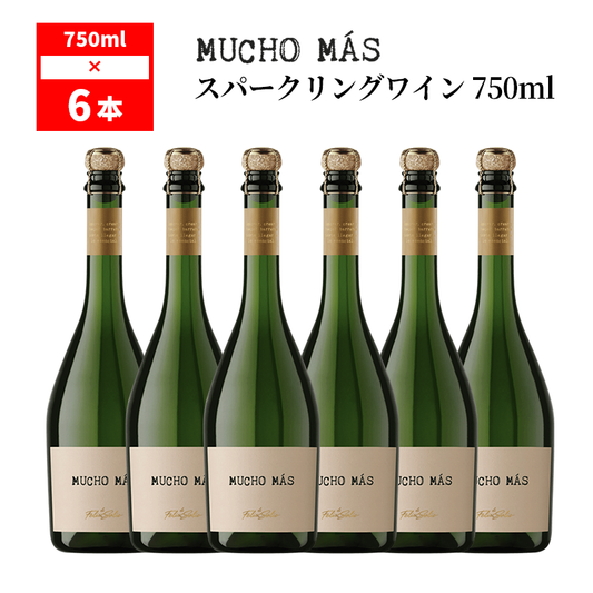 フェリックス ソリス アヴァンティス ムーチョ マス スパークリング ワイン NV / Felix Solis Mucho Mas Sparkling Wine 750mlx6本 11.5%